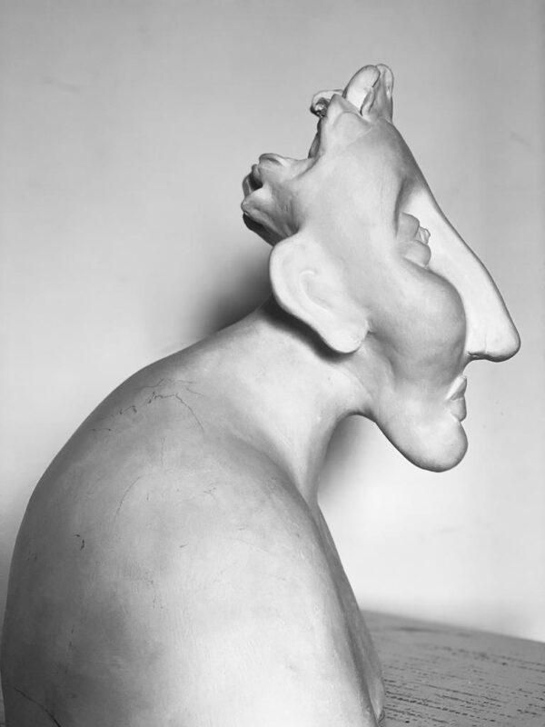The Hermaphrodite - Image 2