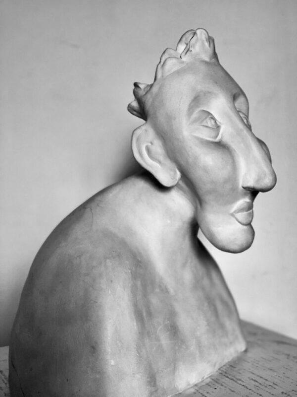 The Hermaphrodite - Image 3